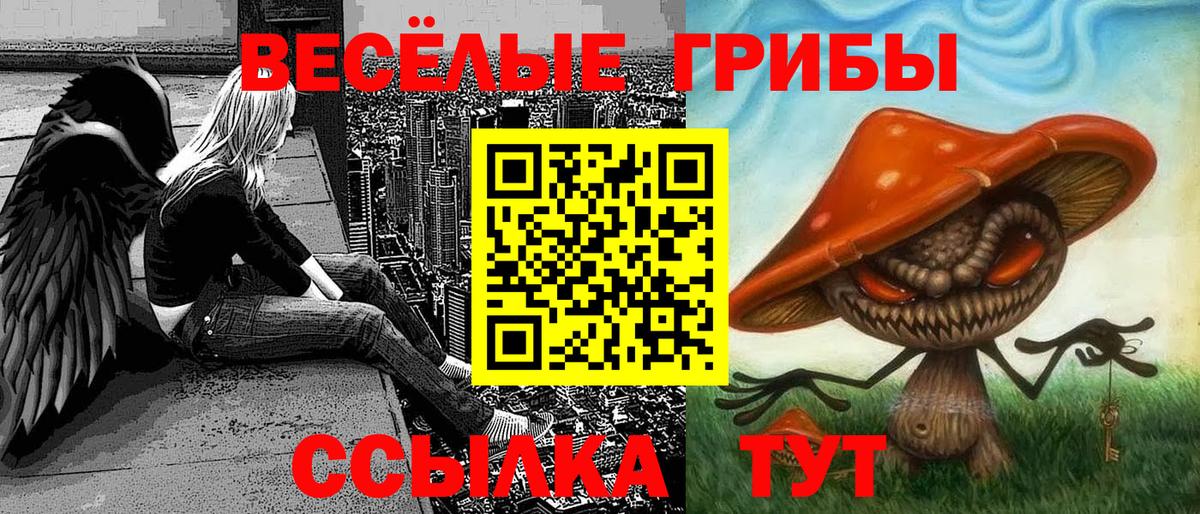 Свободный  что такое   Вход с VPN  Псилоцибиновые грибы GOLDEN TEACHER  Псилоцибиновые грибы Psilocybe 